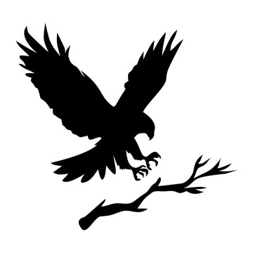 Eagle landing on tree branch vector silhouette and hawk in flight icon