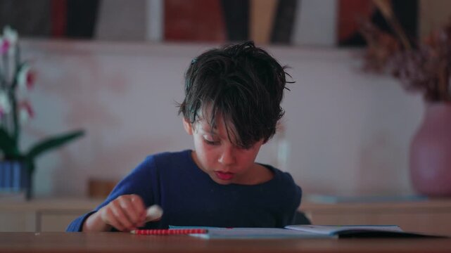 Concentrated young boy erases a mistake and quickly resumes writing in his workbook at the home table, demonstrating persistence, correction and focused homeschool learning