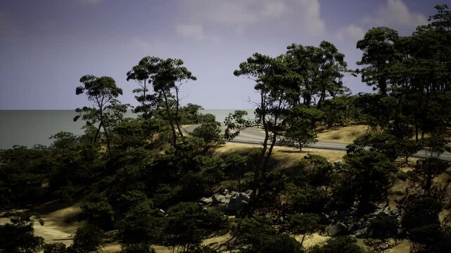 Coastal pine forest on sunlit ridge with distant sea, windswept dunes, long shadows, warm golden light, tranquil mood ideal for travel, wellness, and background