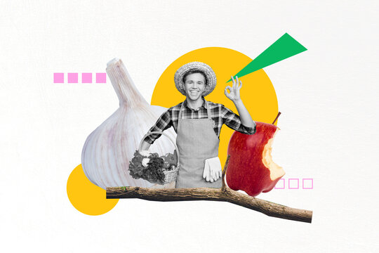 Full trendy artwork photo collage template sketch of happy farmer man show okay gesture hold vegetables basket garlic bitten apple