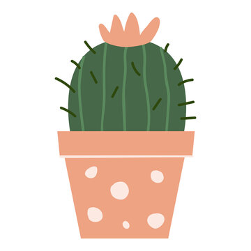 Flowering green cactus with long spines in a terracotta pot decorated with pale spots. Flat botanical illustration suitable for home decor, stickers, posters and plant designs.