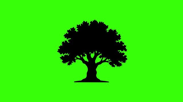 Black Banyan Tree Silhouette Swaying Seamless Loop Animation on Green Screen Chroma Key Background