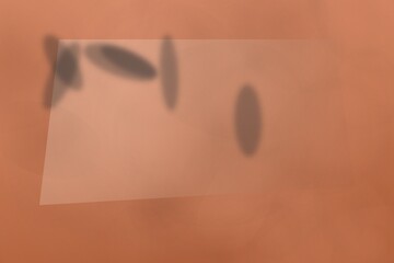 Abstract shadows cast upon a soft peach colored textured wall surface area © Anayadeu