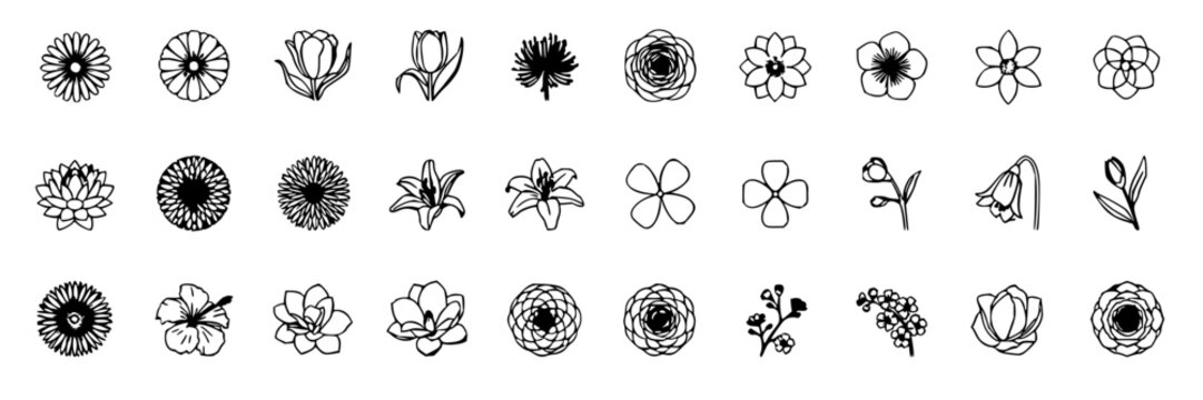 Flower set with minimalist line drawings featuring tulip, daisy, rose, lily with botanical elements and floral patterns