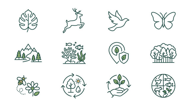Minimalist vector graphic set depicting various ecological icons for environmental conservation and sustainable nature design projects