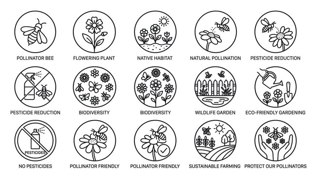 Pollinator and biodiversity vector icon set showing simple black outlines for sustainable gardening and farming concepts