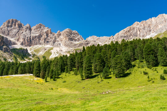 Expansive alpine landscape featuring rugged pale limestone peaks above a lush green mountain meadow and dense conifer forest beneath a deep blue summer sky