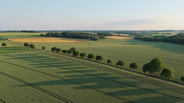 Aerial top view on green crop field. Nature environment. Green harvest in field. Summer green field. Agricultural aerial landscape. Green crop agricultural farm landscape. Harvesting and cultivation