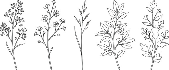 Fototapeta premium Minimalist Continuous Line Drawing of Botanical Stems with Leaves, Flowers, and Berries
