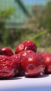 Fresh Chinese jujube (Ziziphus jujuba) fruits with smooth green to reddish-brown skin, commonly consumed fresh or dried and valued as a traditional fruit crop