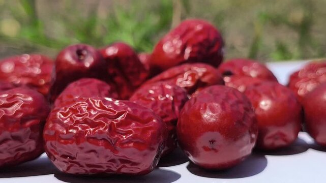 Fresh Chinese jujube (Ziziphus jujuba) fruits with smooth green to reddish-brown skin, commonly consumed fresh or dried and valued as a traditional fruit crop