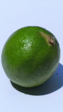 Fresh green key limes, Citrus aurantiifolia, growing on a tree with glossy leaves, showcasing their small size, vibrant color, and natural appearance in a tropical garden.