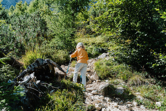 Little boy with hiking poles walking on rocky mountain path. Healthy active family lifestyle and safe summer camping concept.