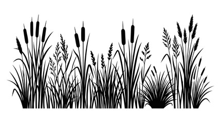 Fototapeta premium Detailed horizontal silhouette of wild meadow grass and reeds.