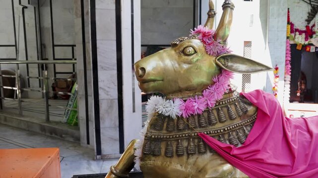 Sacred Nandi the holy bull Statue Adorned With Flowers and Pink Cloth at a Hindu shiva Temple