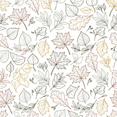 Fototapeta premium Fall Seamless Pattern of Outline Hand drawn Autumn Leaves in Various Colors