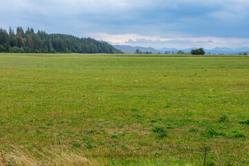 Naklejka premium Expansive green meadow with a dense forest line and rolling hills under a cloudy sky, evoking peace.