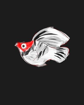 Molly Fish Red Head