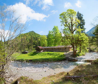 Weissach river with rapids, wooden cabin and old maple tree. Siebenhutten, Kreuth
