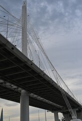 Fototapeta premium Modern cable stayed bridge with steel suspension cables. Good for engineering publication, transportation presentation, infrastructure report, construction industry marketing