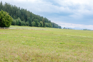 Naklejka premium Vast green meadow leading to a dense forest under an overcast sky with distant mountains.