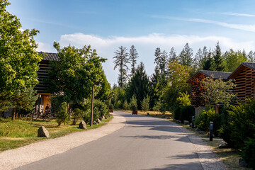 Fototapeta premium Scenic paved road winding through a peaceful forest resort with contemporary wooden lodges and lush