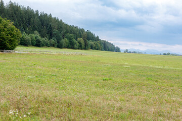 Naklejka premium Expansive green field with a dense forest line, wooden fence, and distant mountains under a cloudy s