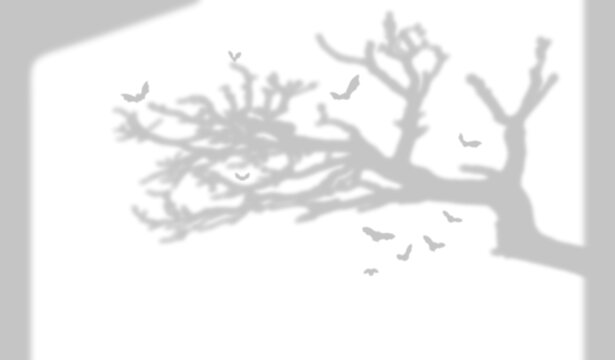 A silhouette shadow of a bare tree branch with bats flying against a light background isolated on transparent background