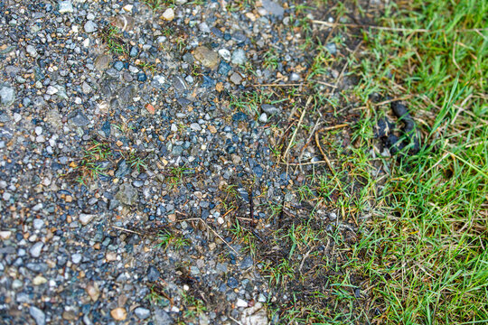 Close-up of natural ground texture showing a clear division between a gravel path and green grass.