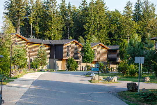 Contemporary architecture with wooden facades nestled among lush green trees and a quiet road.