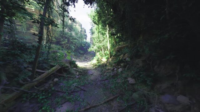 shadowed narrow forest passage opening toward distant light, tangled roots and mosscovered stones under dense canopy, cool humidity and eerie quiet suggesting