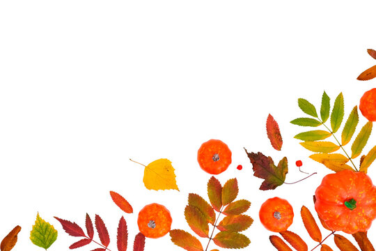 Horizontal autumn banner with a fallen colorful leaves and orange pumpkin on a transparent background with place for text