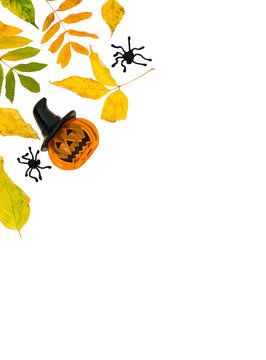 Vertical Halloween banner with a Jack-o-lantern pumpkin, spiders and fall leaves on a transparent background with place for text