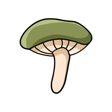 Cute Green Plant Mushroom Illustration Isolated on White Background