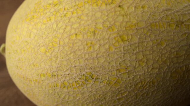 Close up macro of yellow melon rind, detailed textured surface of ripe Torpedo melon