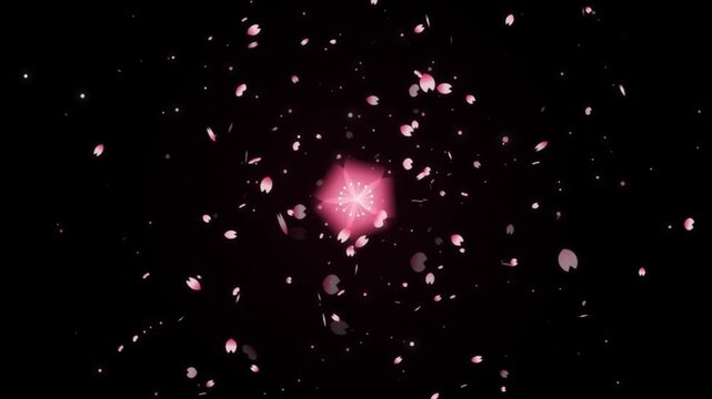 Floating pink cherry blossom petals rotating around glowing floral light orbs against dark background with video displays mesmerizing three glowing symmetrical with petals drifting swirling