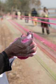 Lahore, Punjab, Pakistan - 07 February 2026: View of a person's hand covered in pink powder holding kite string during the preparation for the Basant festival.