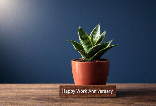Small potted snake plant on a wooden table with a happy work anniversary sign in front