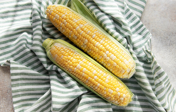 Fresh sweet corn cobs on striped cloth