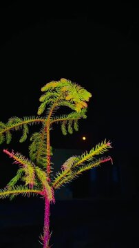 Abstract Neon Fir Tree Under a Full Moon Night Sky