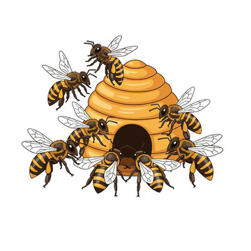 Bees swarm around a beehive, isolated illustration