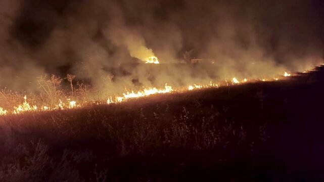 Fuego en campo agr&iacute;cola perdido la cosecha  con sonido de llamas ardiendo 