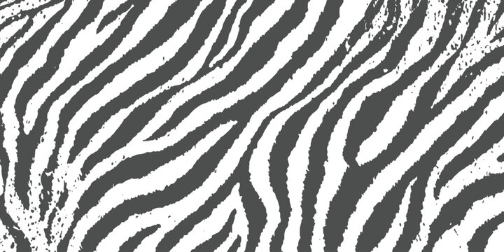 Distressed black and white zebra animal print skin texture with grunge effect seamless pattern vector illustration.