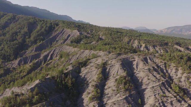 Aerial of steep eroded gray slopes covered with pines and deep gullies against forested mountain backdrop