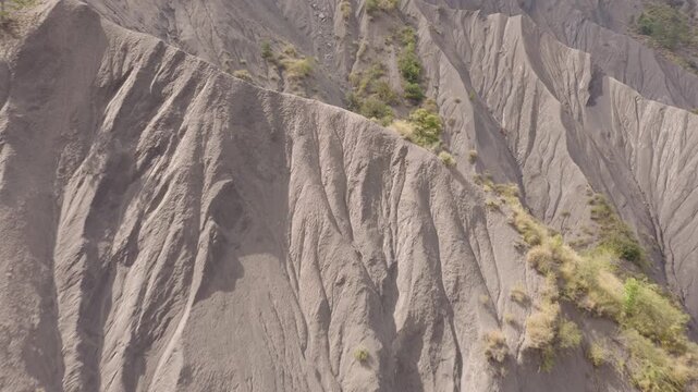 Close aerial of shrubs on gray eroded slope with layered marl texture and sparse pines