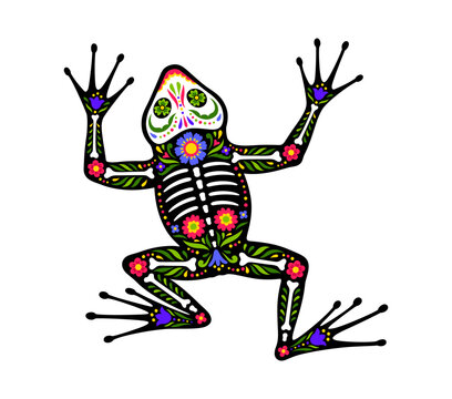 Frog animal skeleton tattoo of Mexican Day of the Dead. Dia de los Muertos Halloween figure of toad amphibian. Sugar skull with skeleton bones and floral pattern, symbol of nature, fauna and wild life