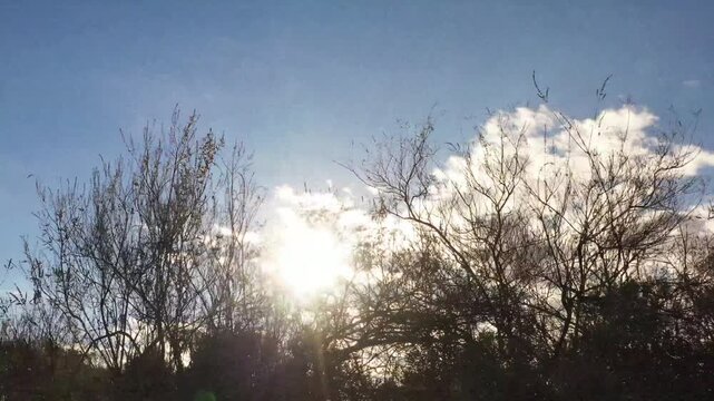 Sun light shining behind bare winter tree branches against moving fluffy clouds in blue sky time lapse.