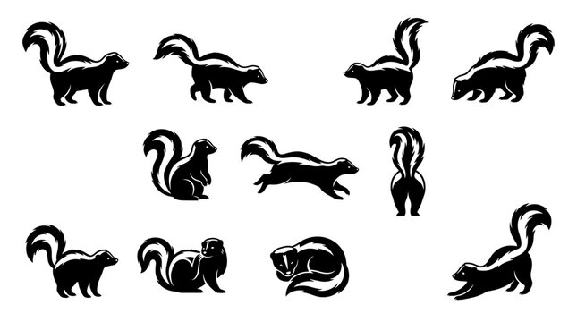 Skunk silhouette vector icon set with woodland animal poses for wildlife and nature design