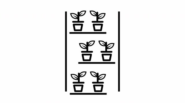 Hydroponic wall mounted garden video motion icon animation