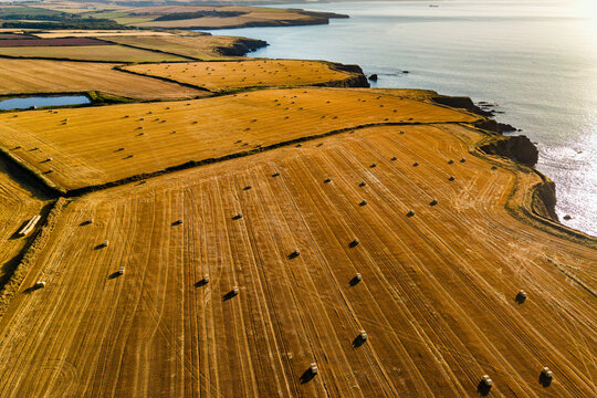 Round straw bales resting on golden stubble fields in warm evening light, rugged coastal headland dropping down to calm sea waters at sunset